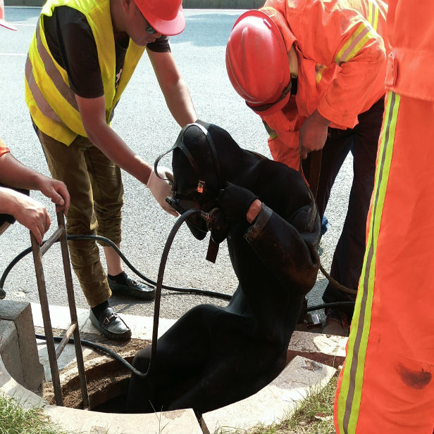 Samsung mobile phone: 5.3 inch screen d