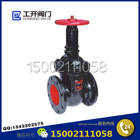 Z41T明桿閘閥-鐵制明桿閘閥-鑄鐵閘閥-上海工開(kāi)閥門(mén)