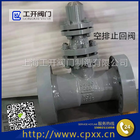 H48Y空排止回閥-高壓止回閥-H48H-法蘭止回閥