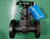 Z41H-25C-DN25閘閥實物圖